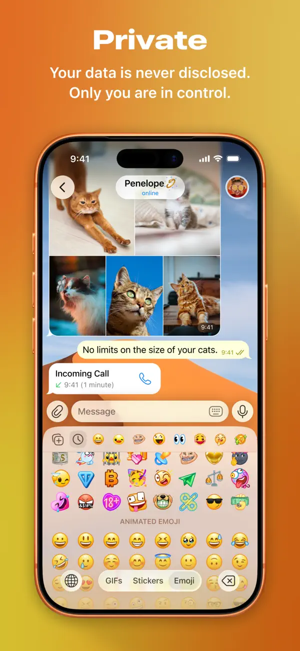 Telegram隐私设置界面